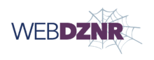 Web.dznr Logo